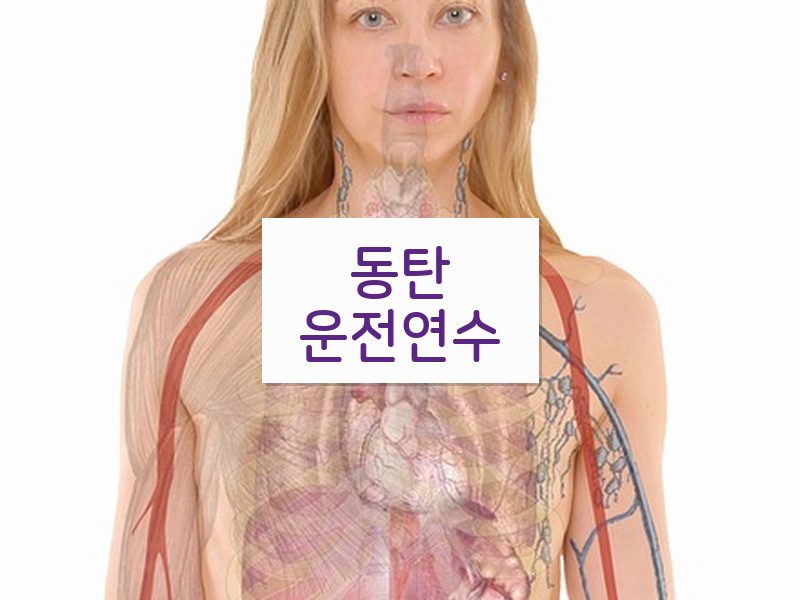 동탄운전연수 후기