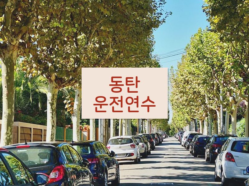 동탄운전연수 후기