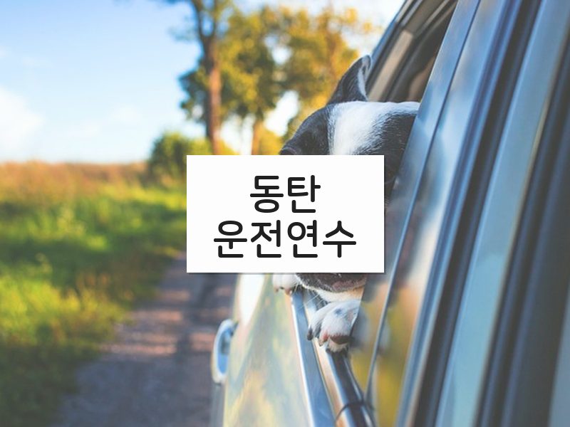 동탄운전연수 후기