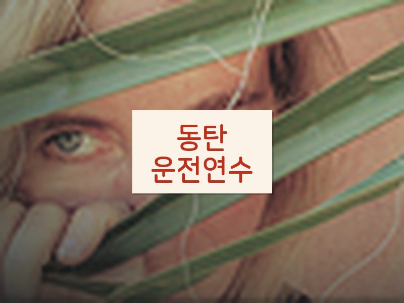동탄운전연수 후기
