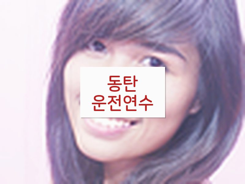 동탄운전연수 후기