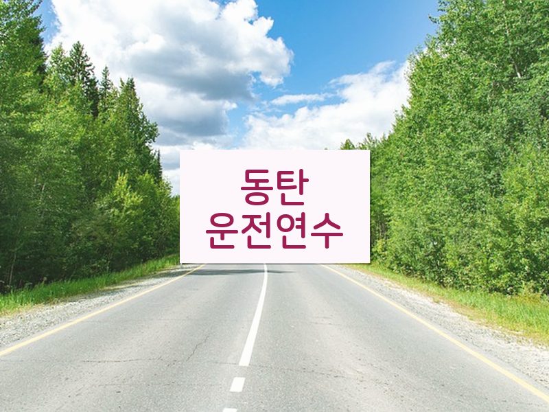 동탄운전연수 후기
