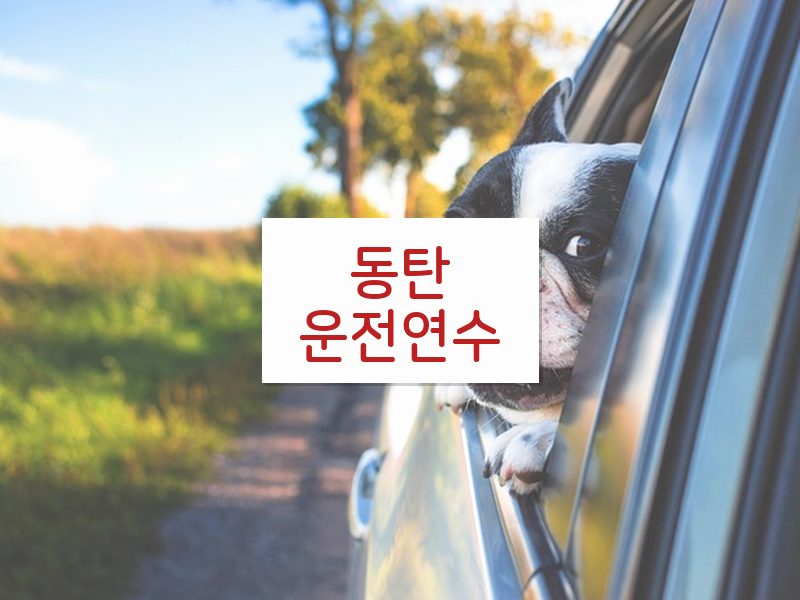 동탄운전연수 후기