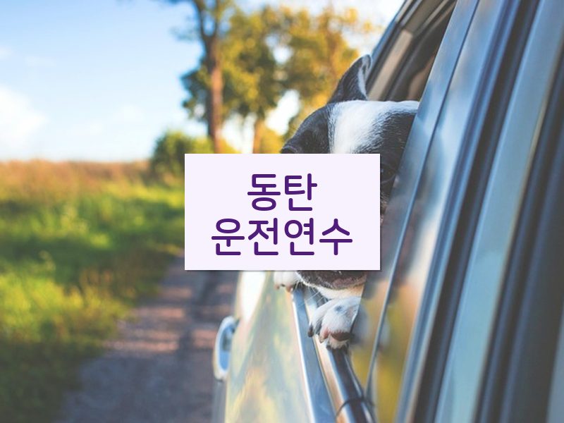 동탄운전연수 후기