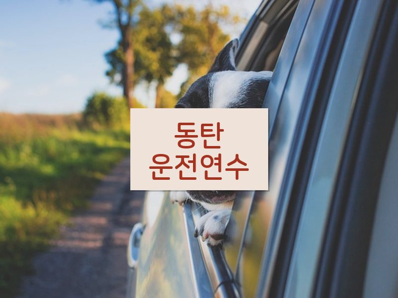 동탄운전연수 후기