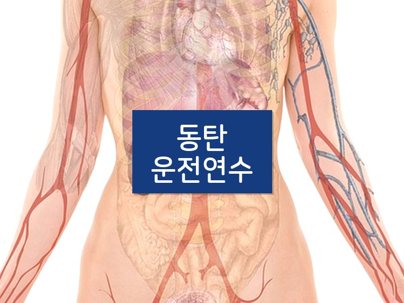 동탄운전연수 후기