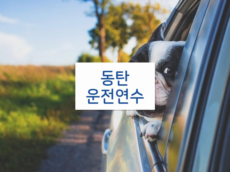 동탄운전연수 후기