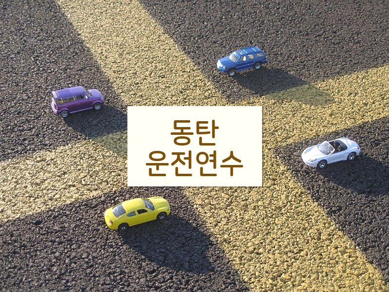 동탄운전연수 후기