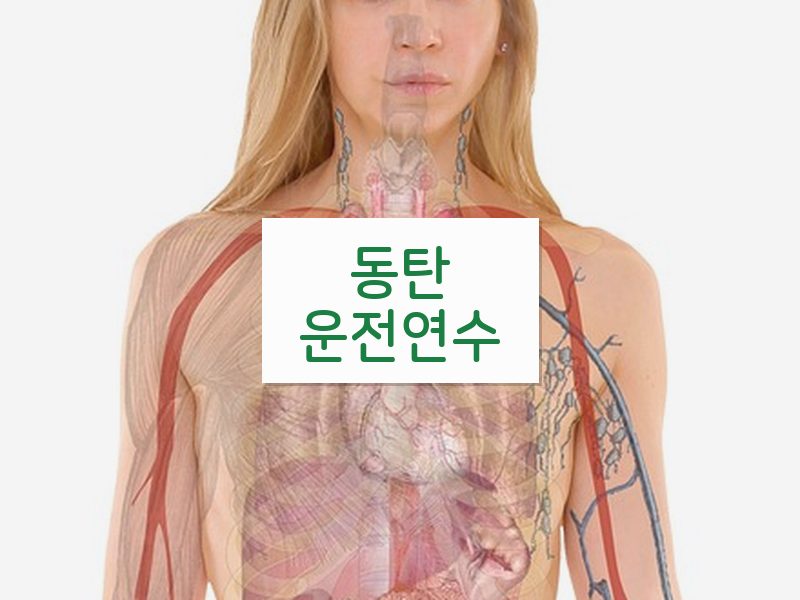 동탄운전연수 후기