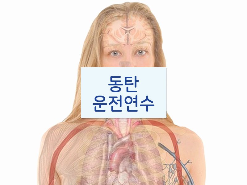 동탄운전연수 후기