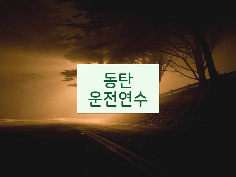동탄운전연수 후기