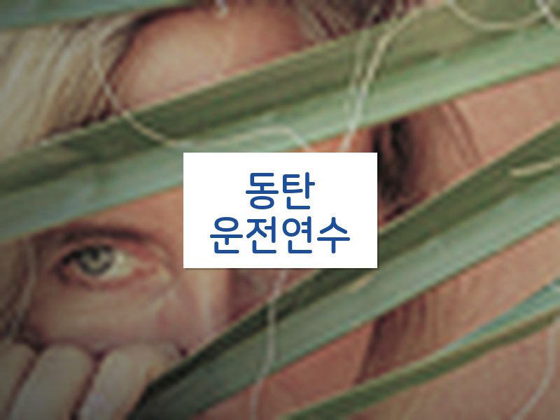 동탄운전연수 후기