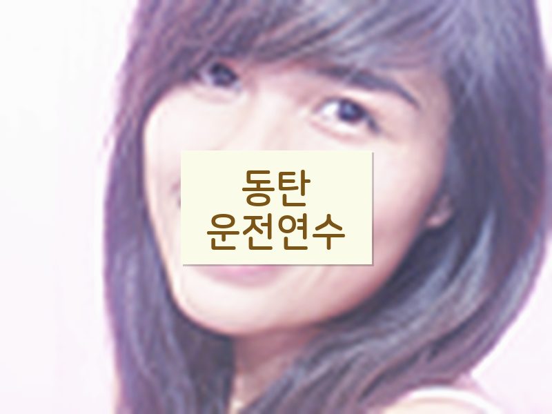 동탄운전연수 후기