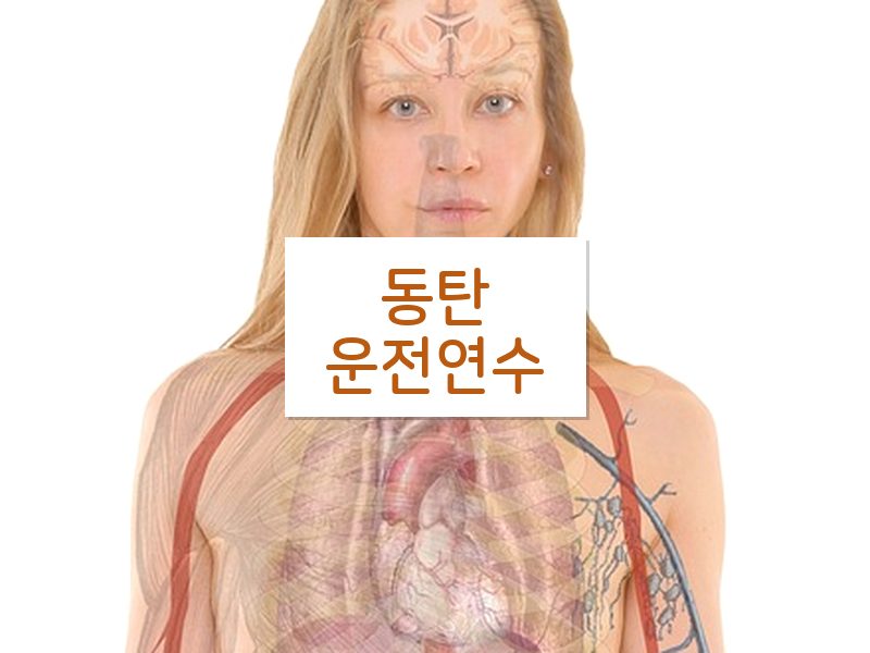 동탄운전연수 후기