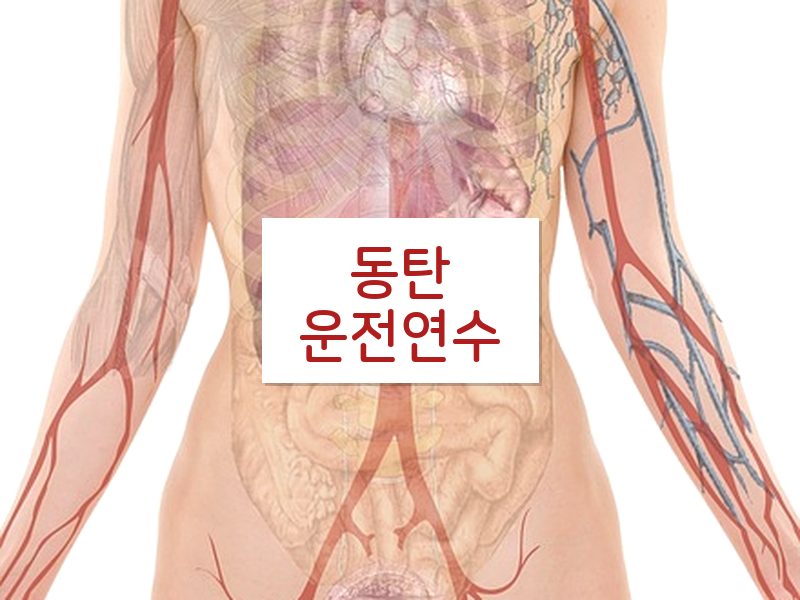 동탄운전연수 후기
