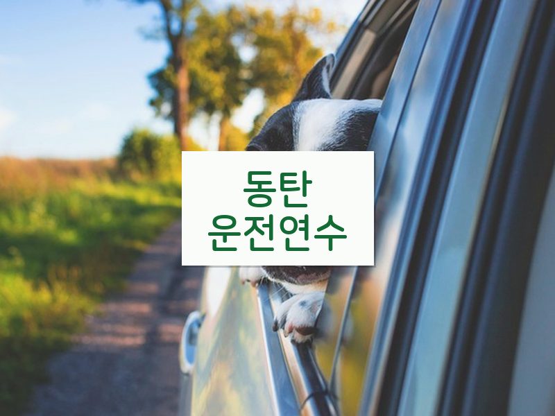 동탄운전연수 후기
