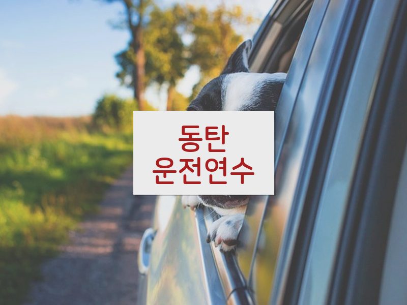 동탄운전연수 후기