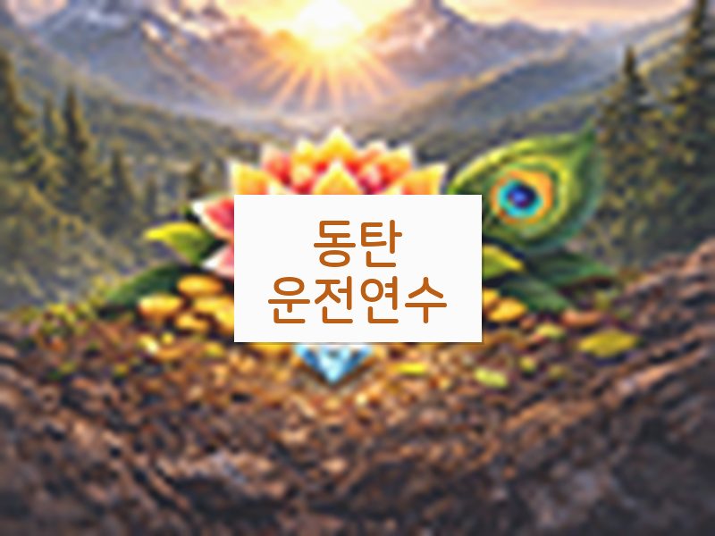 동탄운전연수 후기