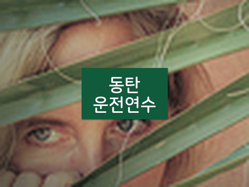 동탄운전연수 후기