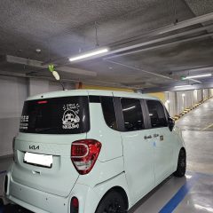 근처 시장 방문을 위한 연수