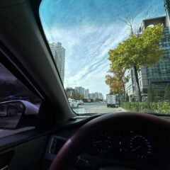 트럭 라인 놀라웠어요