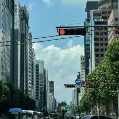 7년 장롱 면허 드디어 탈출!