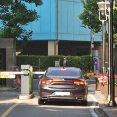 떨리는 첫 도로 주행