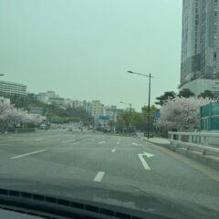 저녁 운전으로 삶의 여유