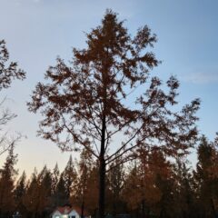 도로 주행 실수했어요