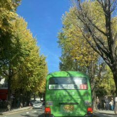 동탄 산길 운전 완전 무서웠어요