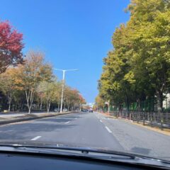 지하주차장 이제 무서워요!