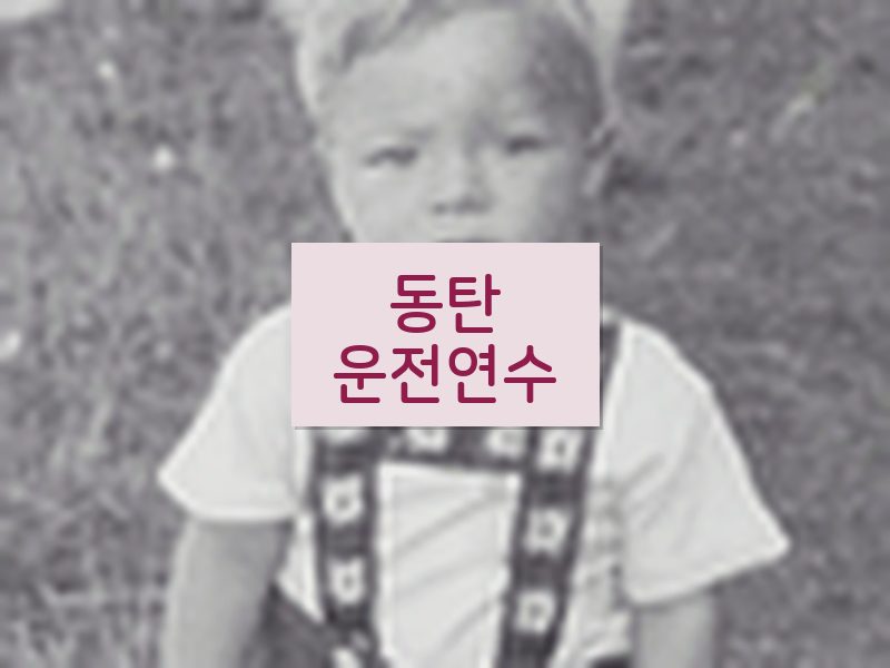 동탄운전연수 후기