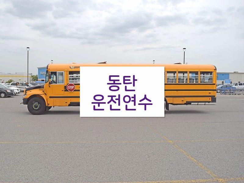 동탄운전연수 후기