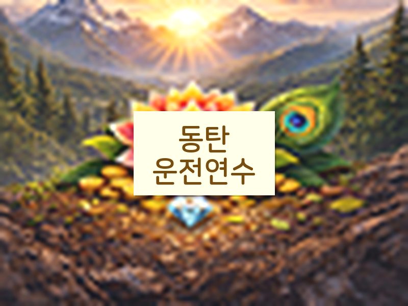동탄운전연수 후기