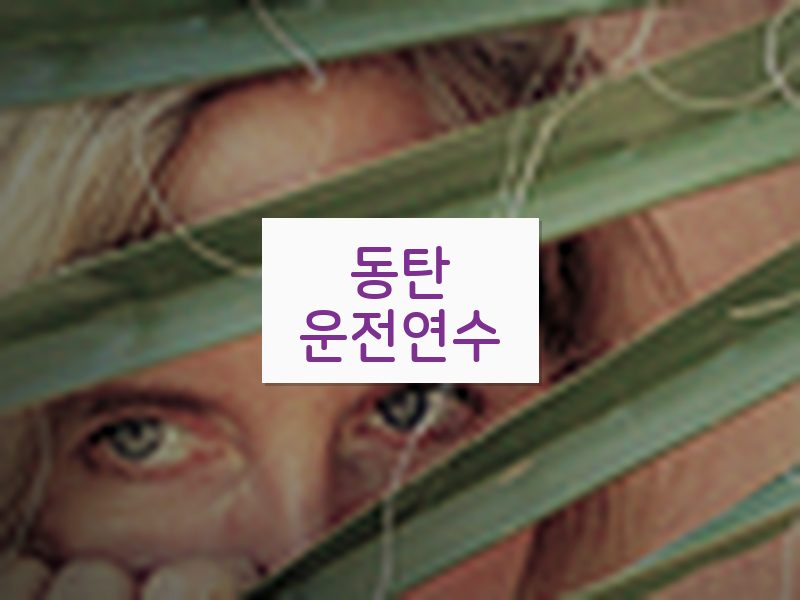 동탄운전연수 후기