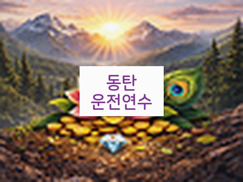 동탄운전연수 후기