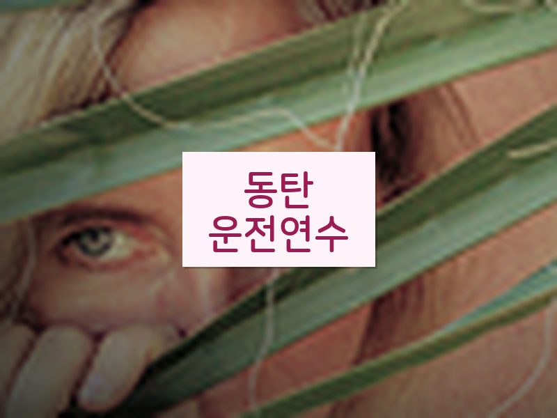 동탄운전연수 후기