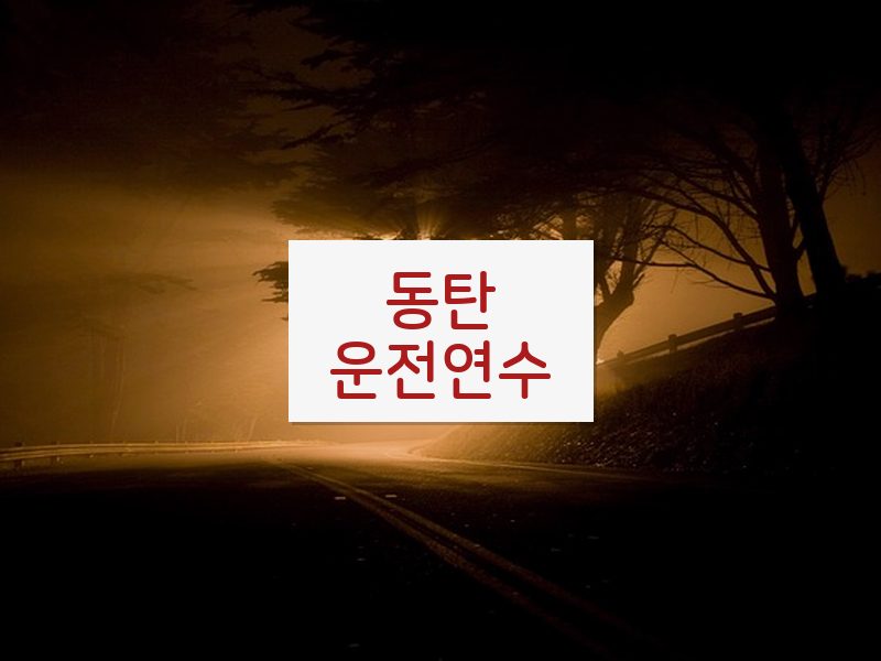 동탄운전연수 후기