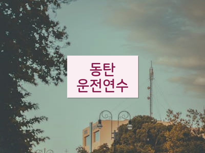 동탄운전연수 후기
